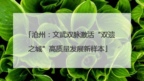沧州：文武双脉激活“双遗之城”高质量发展新样本