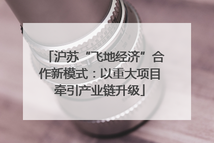 沪苏“飞地经济”合作新模式：以重大项目牵引产业链升级