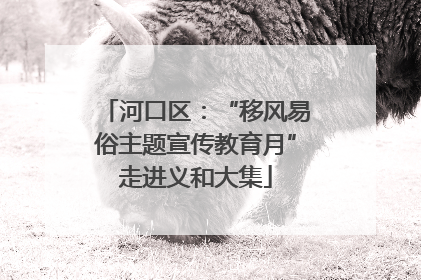 河口区：“移风易俗主题宣传教育月”走进义和大集