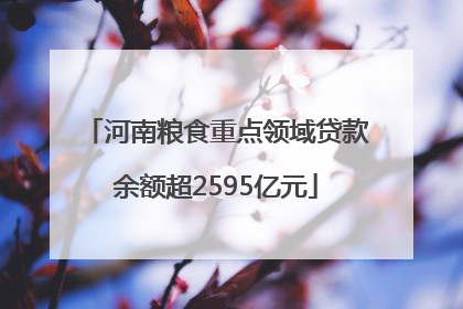 河南粮食重点领域贷款余额超2595亿元