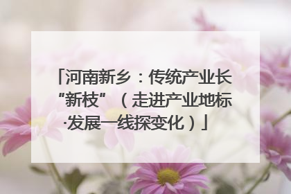 河南新乡：传统产业长“新枝”（走进产业地标·发展一线探变化）