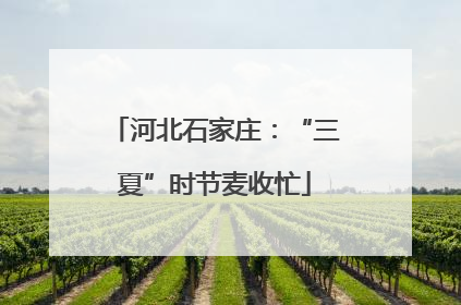河北石家庄：“三夏”时节麦收忙