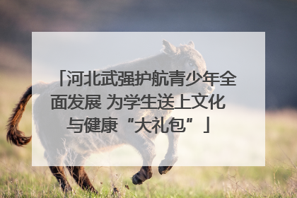 河北武强护航青少年全面发展 为学生送上文化与健康“大礼包”