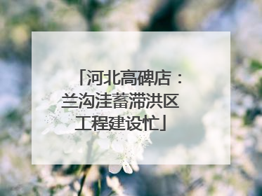 河北高碑店：兰沟洼蓄滞洪区工程建设忙