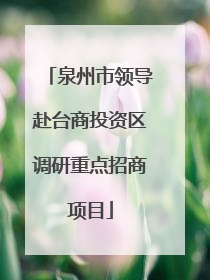 泉州市领导赴台商投资区调研重点招商项目