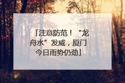 注意防范！“龙舟水”发威，厦门今日雨势仍劲