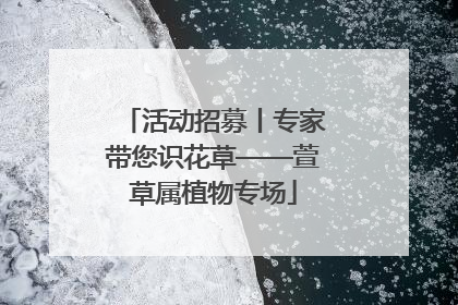 活动招募丨专家带您识花草——萱草属植物专场
