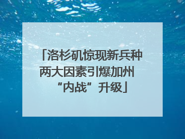 洛杉矶惊现新兵种 两大因素引爆加州“内战”升级