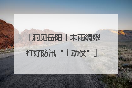 洞见岳阳丨未雨绸缪 打好防汛“主动仗”
