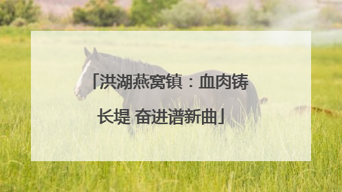 洪湖燕窝镇：血肉铸长堤 奋进谱新曲