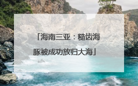 海南三亚：糙齿海豚被成功放归大海