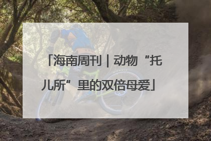 海南周刊｜动物“托儿所”里的双倍母爱