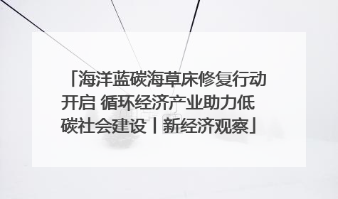 海洋蓝碳海草床修复行动开启 循环经济产业助力低碳社会建设丨新经济观察
