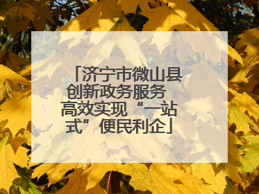 济宁市微山县创新政务服务 高效实现“一站式”便民利企