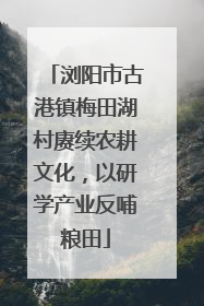 浏阳市古港镇梅田湖村赓续农耕文化，以研学产业反哺粮田