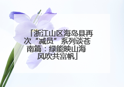 浙江山区海岛县再次“减员”系列谈苍南篇：绿能映山海 风吹共富帆