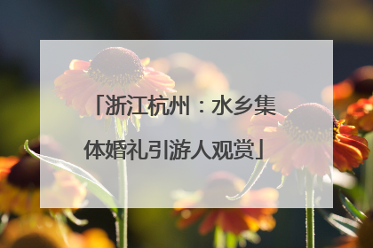 浙江杭州：水乡集体婚礼引游人观赏