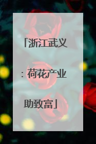 浙江武义：荷花产业助致富