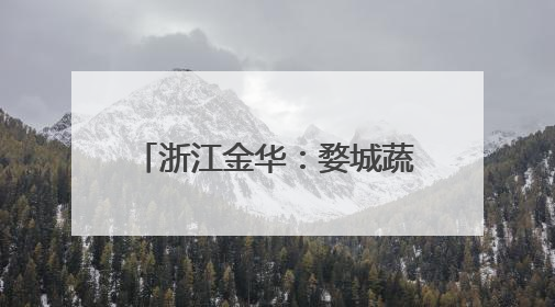 浙江金华：婺城蔬菜也“坐”上了飞机，无人机为乡村振兴插上“翅膀”