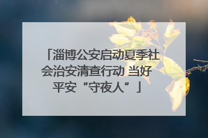 淄博公安启动夏季社会治安清查行动 当好平安“守夜人”