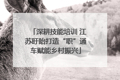 深耕技能培训 江苏盱眙打造“职”通车赋能乡村振兴