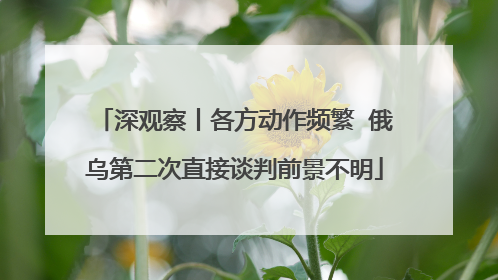 深观察丨各方动作频繁  俄乌第二次直接谈判前景不明