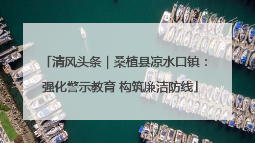 清风头条｜桑植县凉水口镇：强化警示教育 构筑廉洁防线