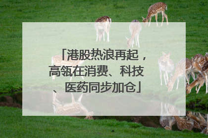 港股热浪再起，高瓴在消费、科技、医药同步加仓