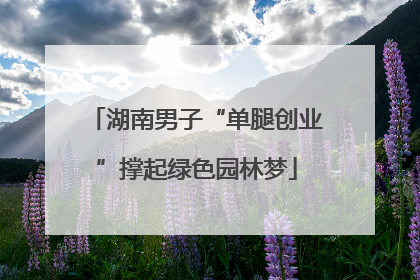 湖南男子“单腿创业”撑起绿色园林梦