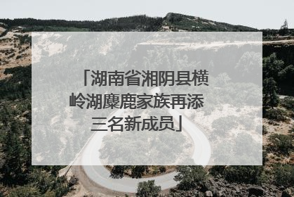 湖南省湘阴县横岭湖麋鹿家族再添三名新成员