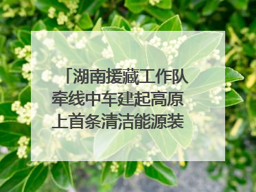 湖南援藏工作队牵线中车建起高原上首条清洁能源装配产线，本地大学生成车间检验员