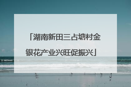 湖南新田三占塘村金银花产业兴旺促振兴