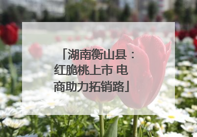 湖南衡山县：红脆桃上市 电商助力拓销路