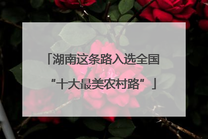 湖南这条路入选全国“十大最美农村路”