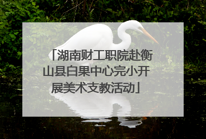 湖南财工职院赴衡山县白果中心完小开展美术支教活动
