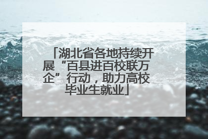 湖北省各地持续开展“百县进百校联万企”行动，助力高校毕业生就业