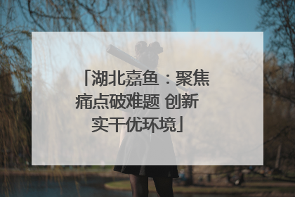 湖北嘉鱼：聚焦痛点破难题 创新实干优环境