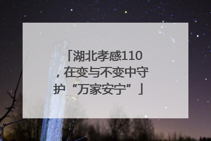 湖北孝感110，在变与不变中守护“万家安宁”