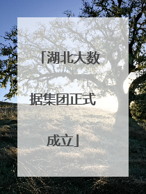 湖北大数据集团正式成立