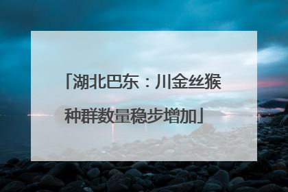 湖北巴东：川金丝猴种群数量稳步增加