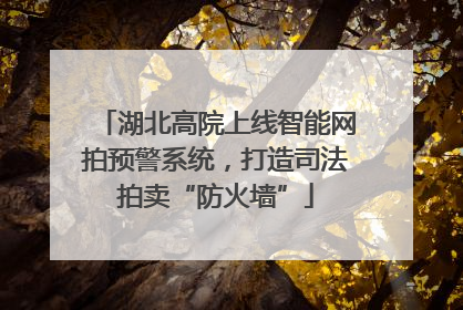 湖北高院上线智能网拍预警系统，打造司法拍卖“防火墙”
