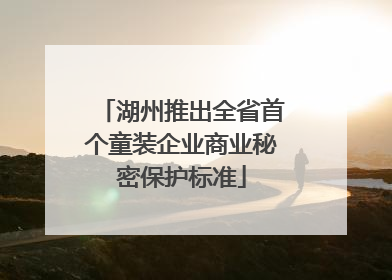 湖州推出全省首个童装企业商业秘密保护标准