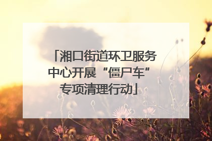 湘口街道环卫服务中心开展“僵尸车”专项清理行动