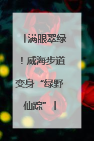 满眼翠绿！威海步道变身“绿野仙踪”