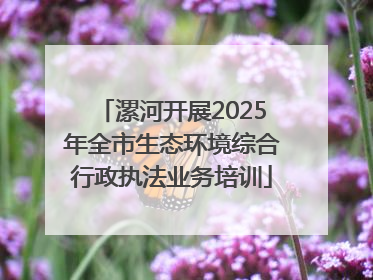 漯河开展2025年全市生态环境综合行政执法业务培训