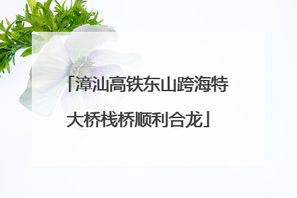 漳汕高铁东山跨海特大桥栈桥顺利合龙