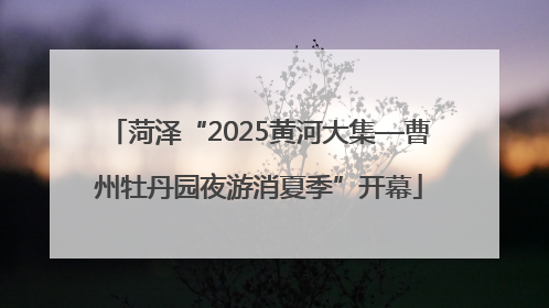 菏泽“2025黄河大集—曹州牡丹园夜游消夏季”开幕