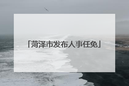 菏泽市发布人事任免