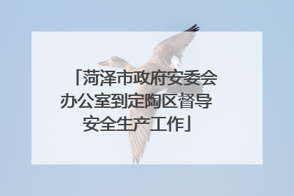 菏泽市政府安委会办公室到定陶区督导安全生产工作