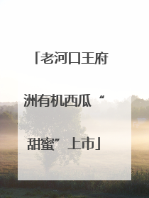老河口王府洲有机西瓜“甜蜜”上市